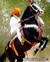 Wall24(yaari.mobie.in)