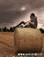 Wall28(yaari.mobie.in)